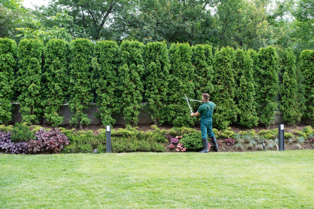 Best Artificial Turf Installation  in Rolling Hills Estates, CA